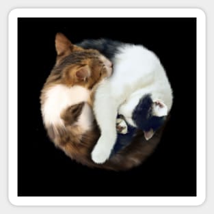 Yin Yang, Cats Cat Lover Kitten,  Chinese Symbol Sticker